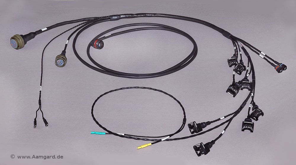 Cosworth wiring loom