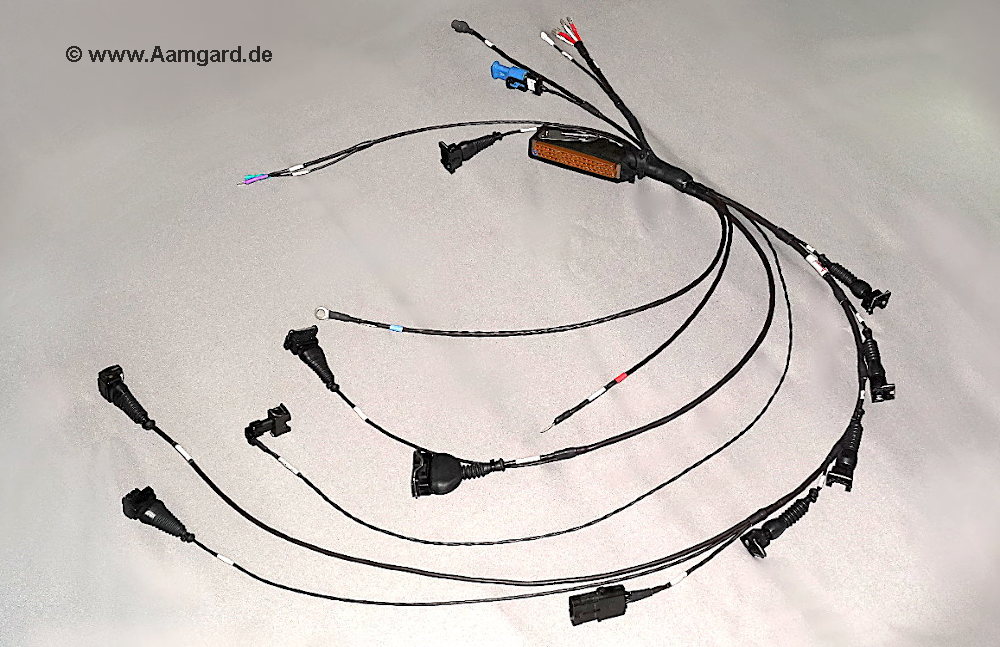 Aamgard Motorkabelbaum Formel Opel-Lotus